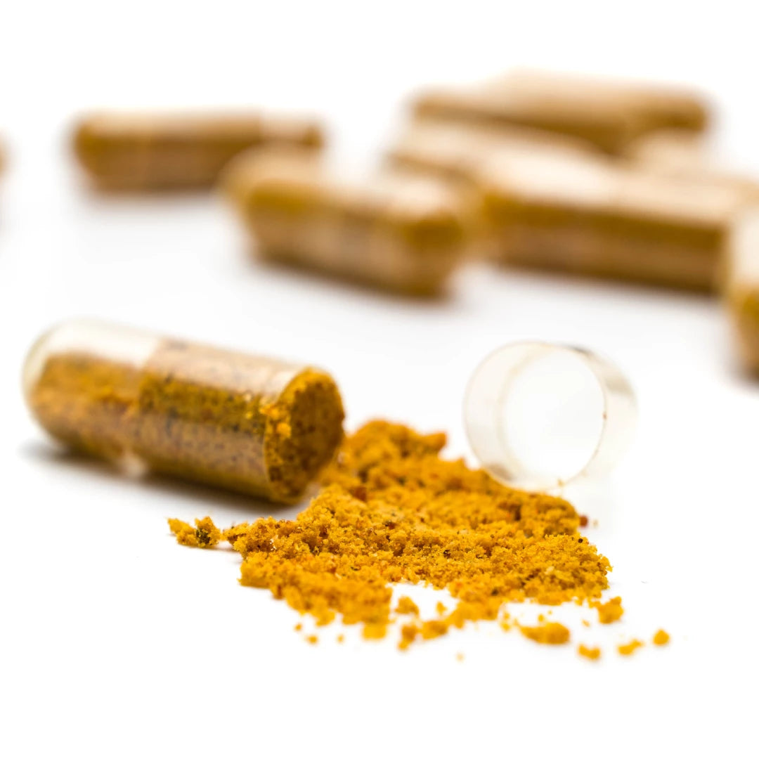 Apipet Gastro
